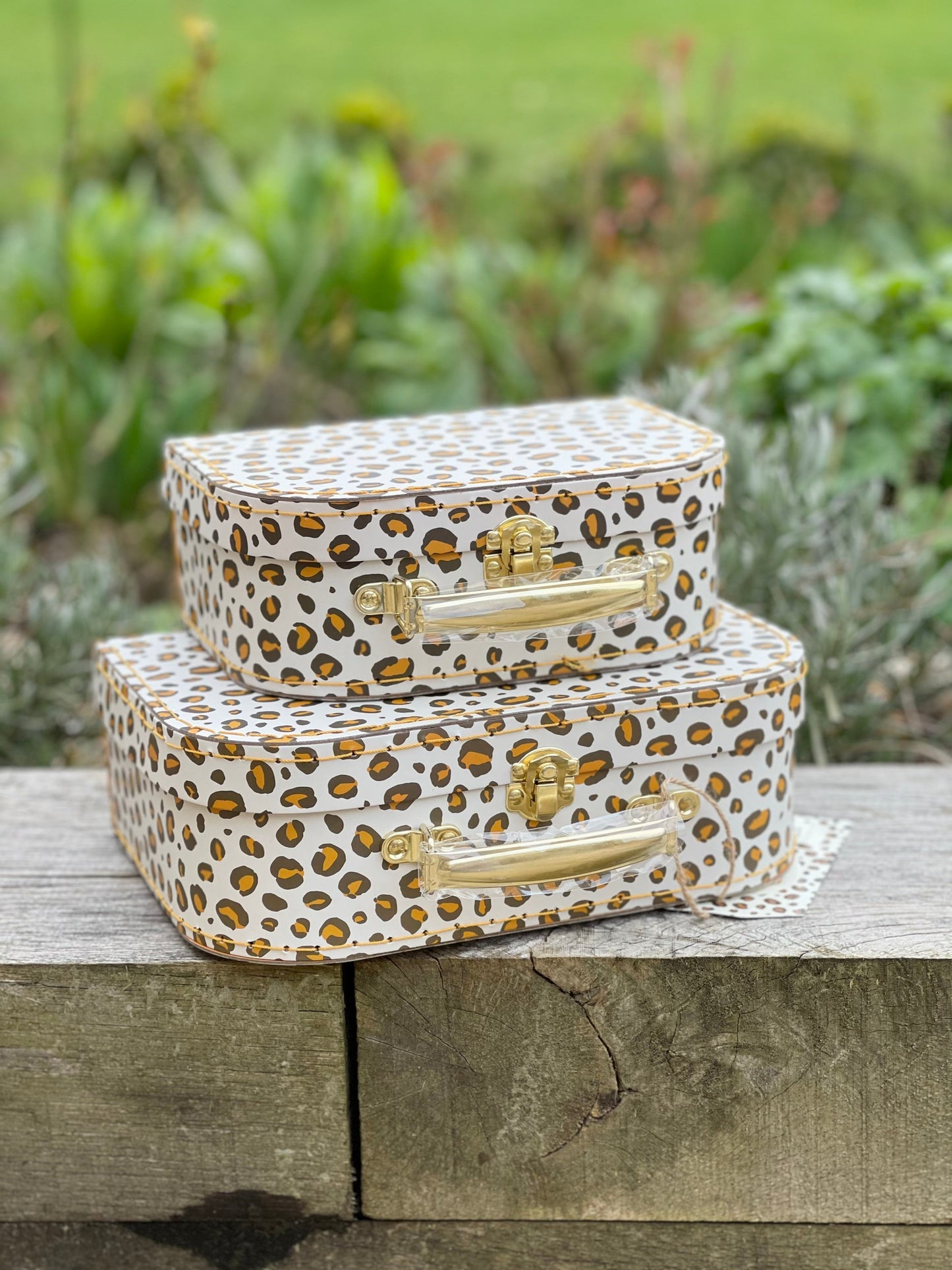 Leopard Love Suitcases - Set of 2