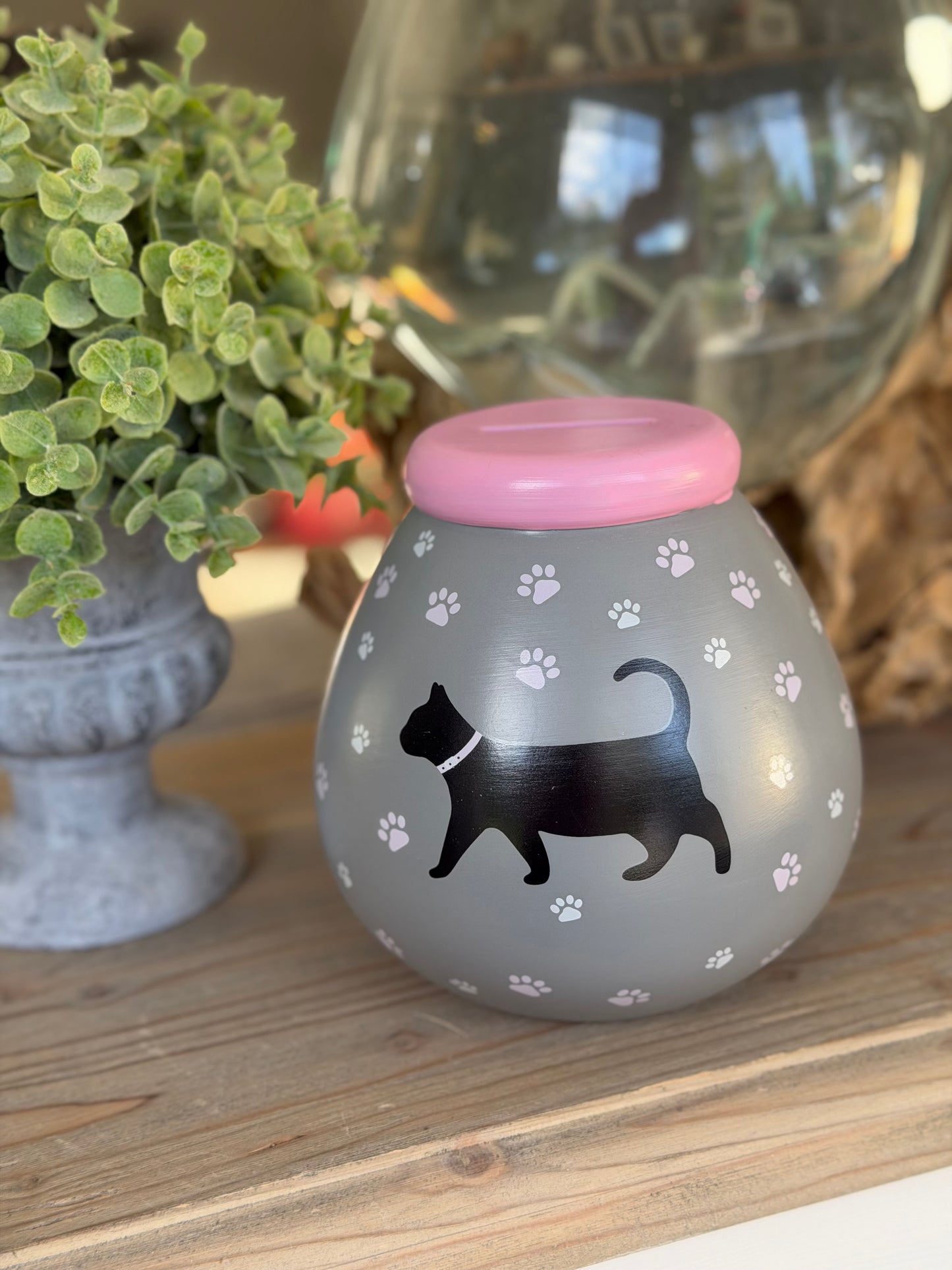 Cat Pot of Dreams Money Box
