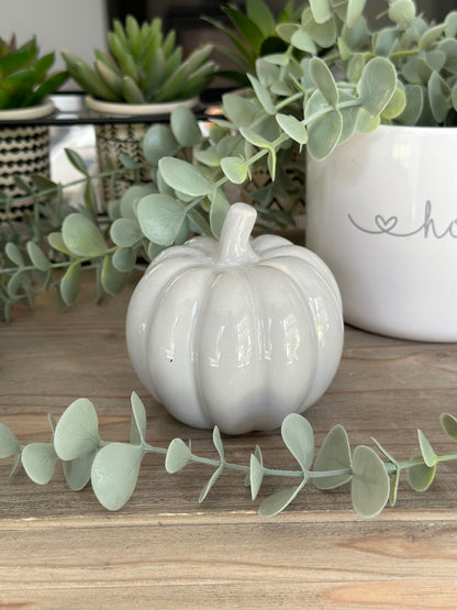 Grey Ceramic Pumpkins - Choice of 2 Sizes