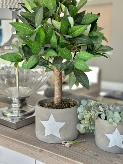 Cement White Star Planter  - 2 sizes available