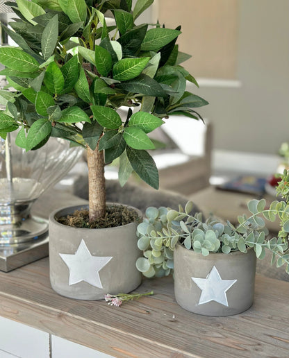 Cement White Star Planter  - 2 sizes available