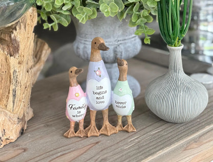 Friend Duck - Family is where life begins