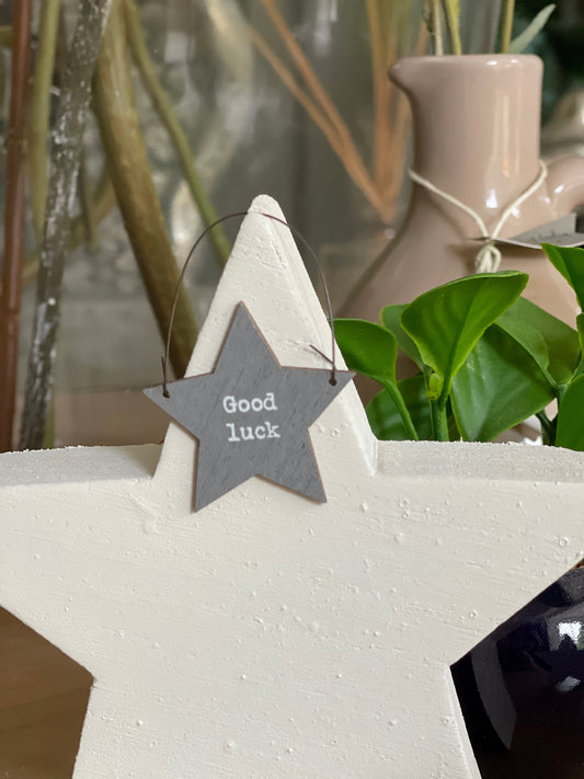 East of India little keepsake star sign- Good Luck