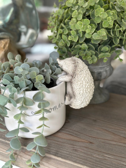 White Hedgehog Pot Hanger