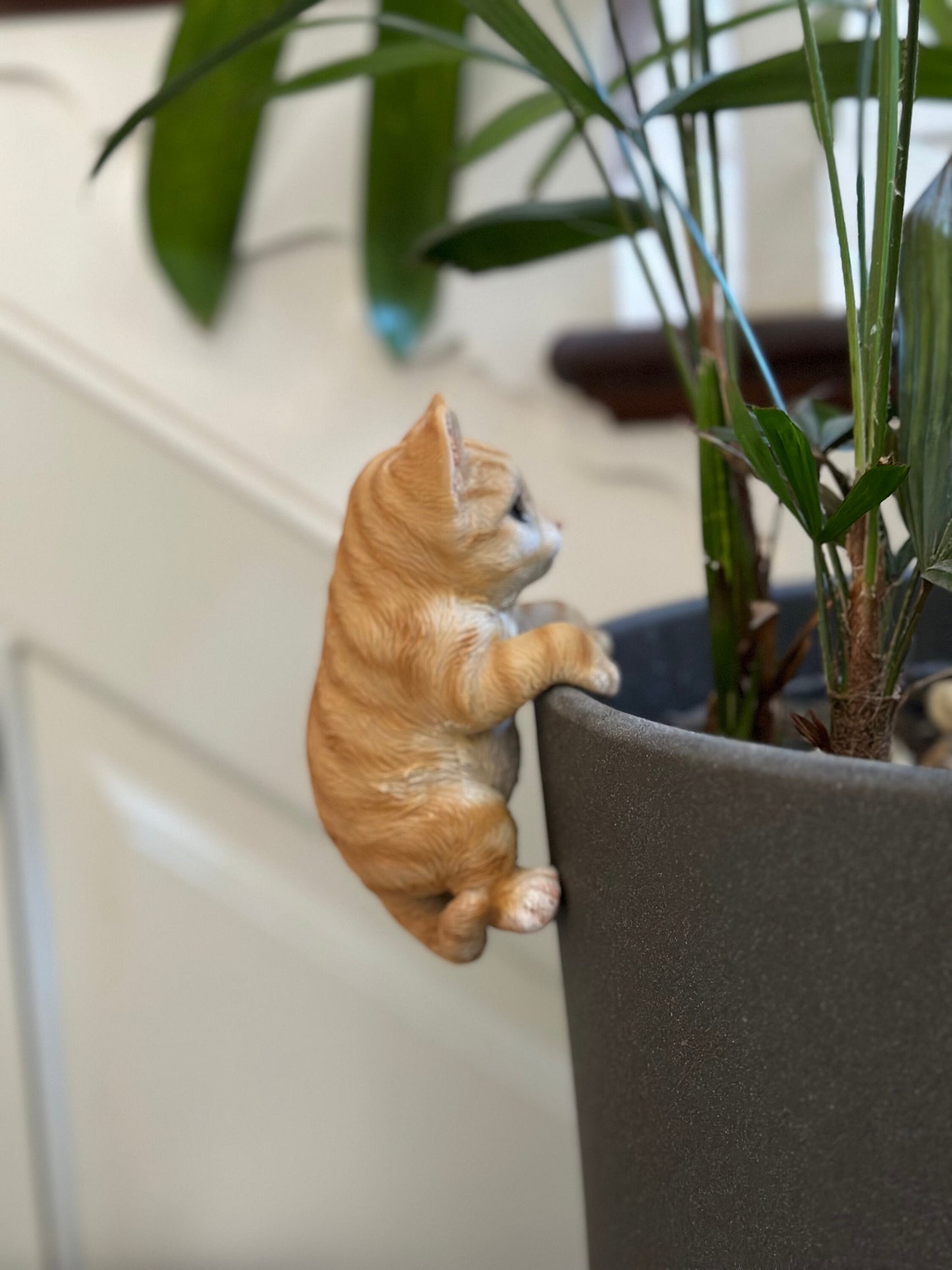 Large Cat Pot Hanger