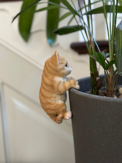 Large Cat Pot Hanger