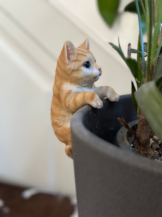 Large Cat Pot Hanger